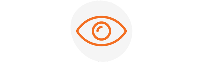 Video Cameras with AI + ADAS + DMS